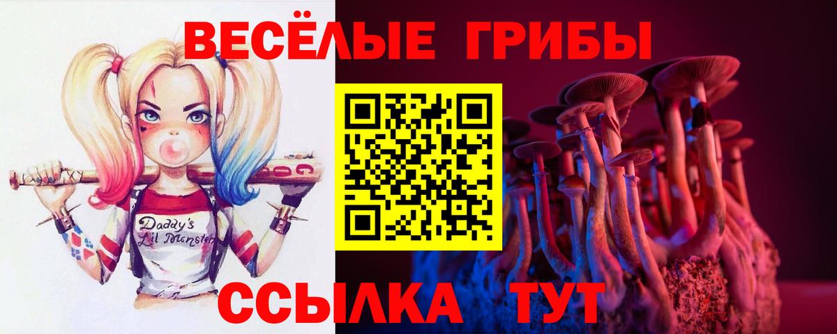 Галлюциногенные грибы MAGIC MUSHROOMS  Галлюциногенные грибы GOLDEN TEACHER  Кузнецк  Вход с VPN 