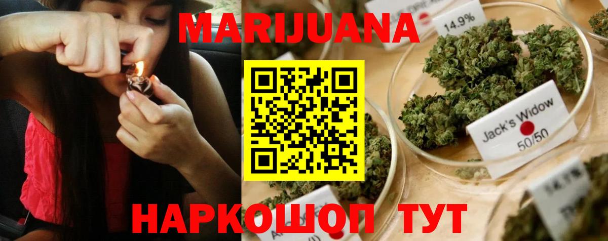 Шишки марихуана семена Кузнецк
